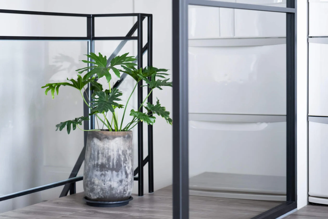 奇拓設計・閣樓上的夢II|餐桌上的植栽與黑色窗框