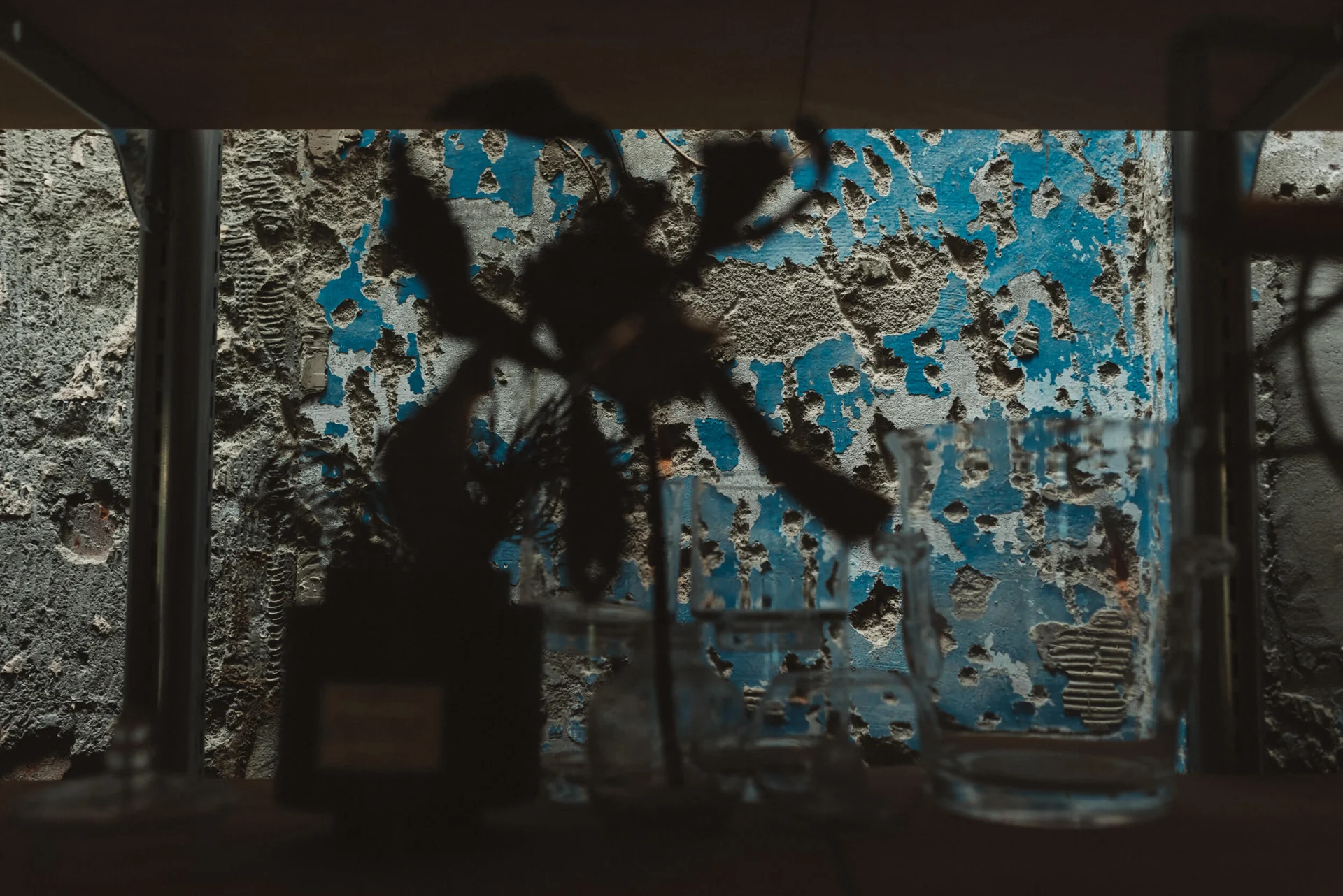 Cut & Paste Select 減貼選物｜花材與藍色壁面紋理近景