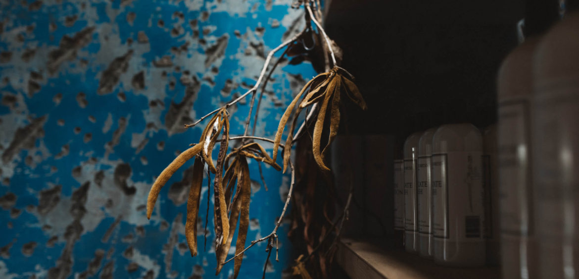 商業空間攝影,空間攝影,剪貼選物,油畫風,finestudio