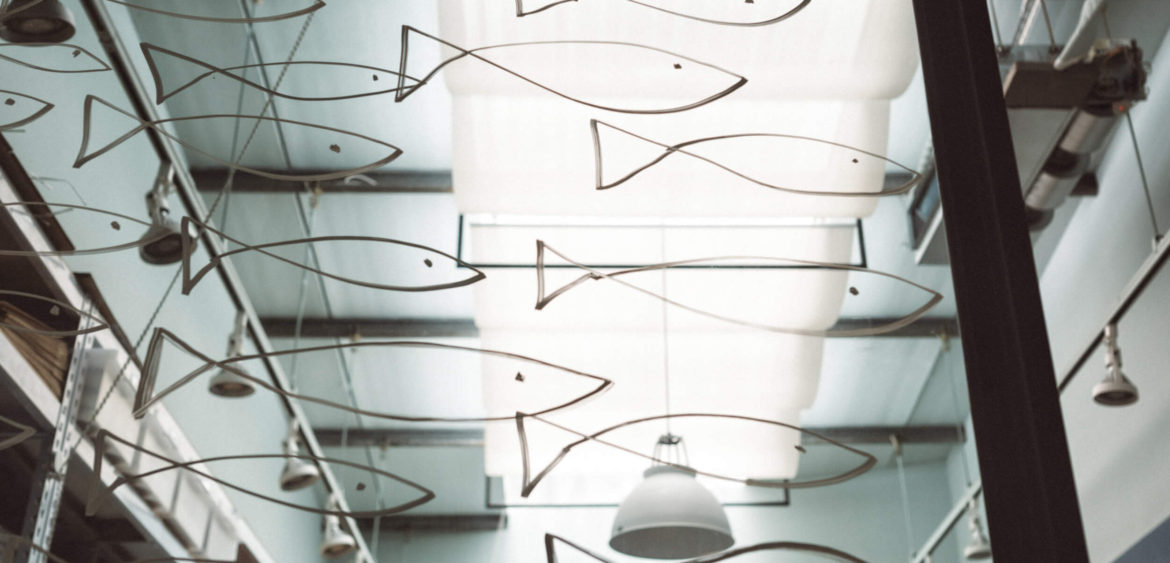 商業空間攝影,空間攝影,Little Seed童裝,finestudio空間攝影