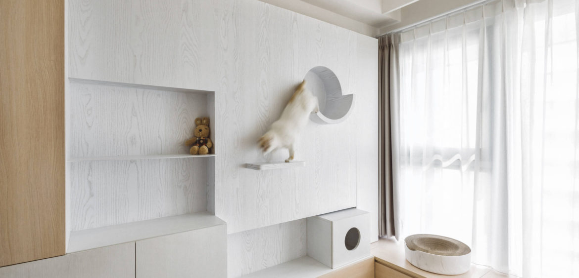 川彡設計,貓咪住宅,住宅空間攝影,空間攝影,finestudio空間攝影,日系