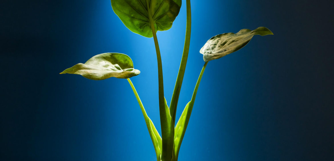 室內空間攝影,空間攝影,奇拓設計,Finestudio空間攝影