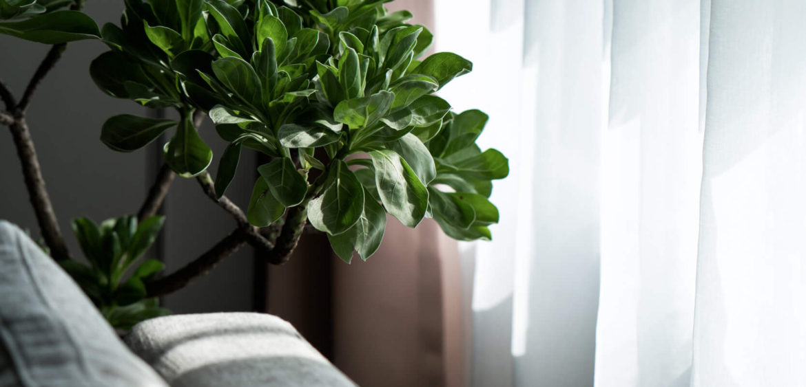 室內空間攝影,空間攝影,奇拓設計,Finestudio空間攝影