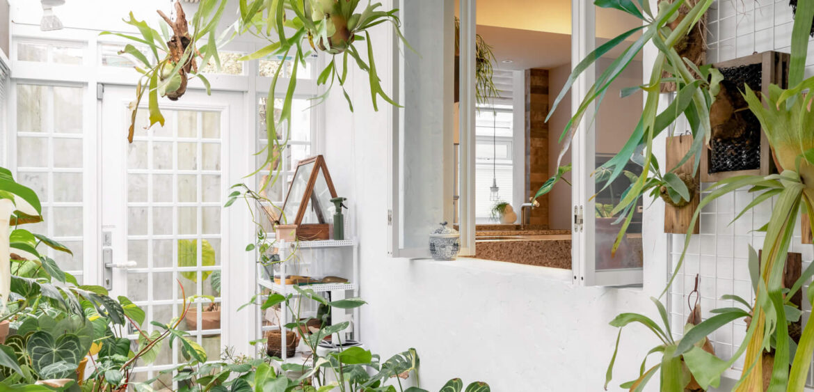 龜背植物花園,溫室,室內溫室,住宅空間,奇拓設計,空間攝影,finestudio空間攝影