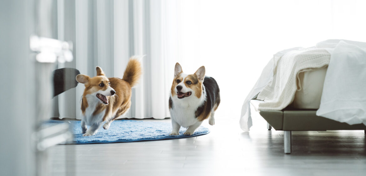 老屋翻新,向丘設計,空間攝影,finestudio空間攝影